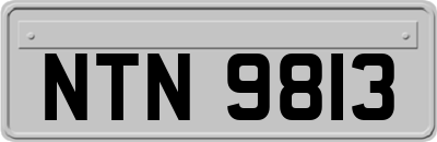 NTN9813