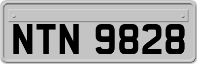 NTN9828