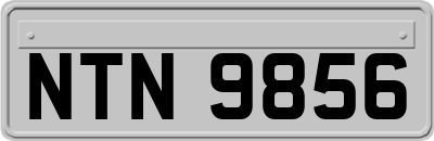NTN9856