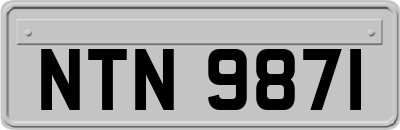 NTN9871