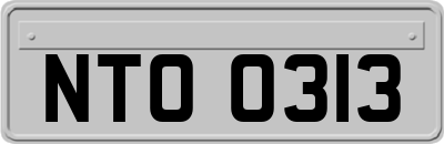 NTO0313