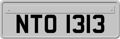 NTO1313