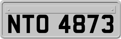 NTO4873