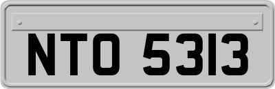 NTO5313