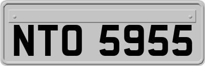 NTO5955