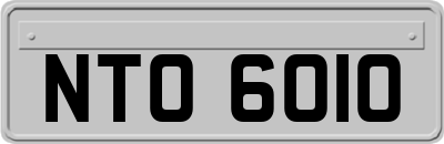 NTO6010