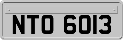 NTO6013