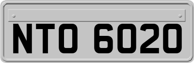 NTO6020