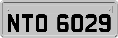 NTO6029