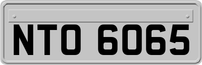 NTO6065