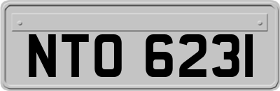 NTO6231