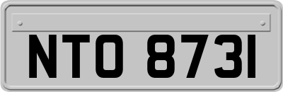 NTO8731