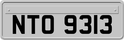 NTO9313