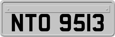 NTO9513