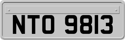 NTO9813