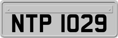 NTP1029