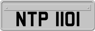 NTP1101