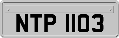 NTP1103