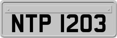 NTP1203