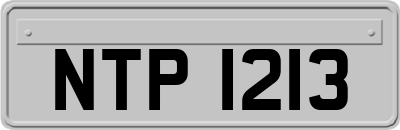 NTP1213