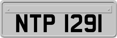 NTP1291