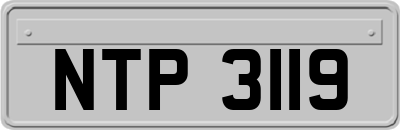 NTP3119