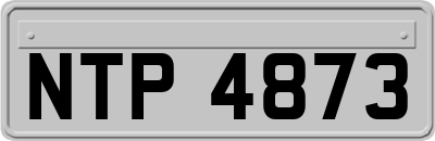 NTP4873