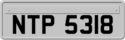 NTP5318