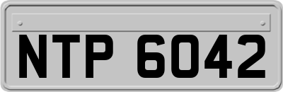 NTP6042