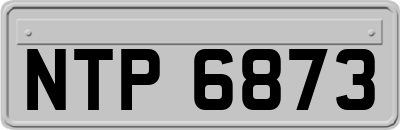 NTP6873