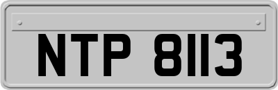 NTP8113