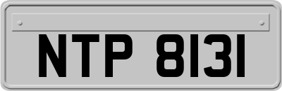 NTP8131