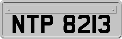NTP8213