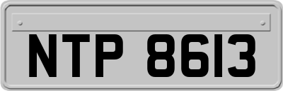 NTP8613