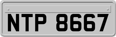 NTP8667