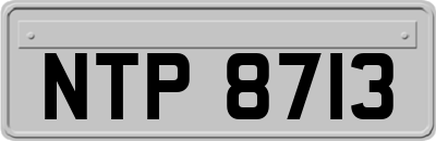NTP8713