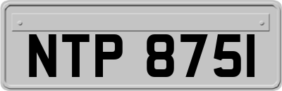 NTP8751