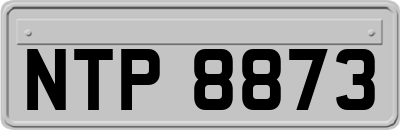 NTP8873