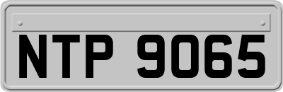NTP9065