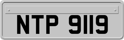 NTP9119
