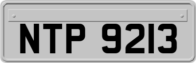NTP9213