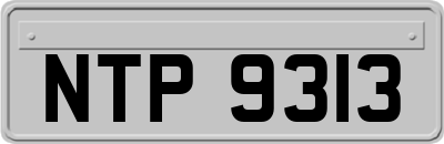 NTP9313