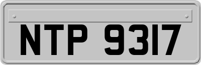 NTP9317