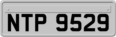 NTP9529