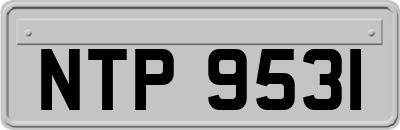 NTP9531