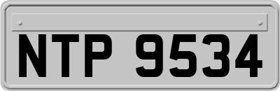 NTP9534