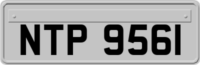NTP9561
