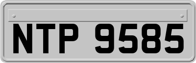 NTP9585