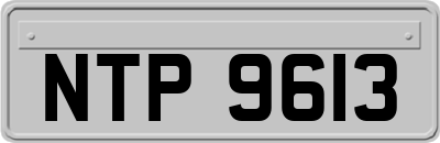 NTP9613