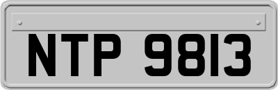 NTP9813